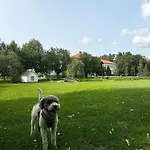 호스텔 Bjorkenheim