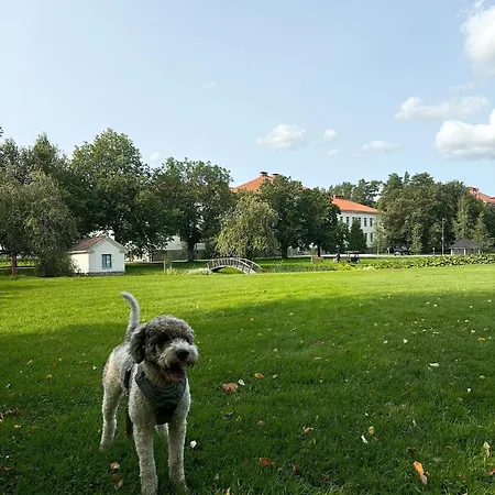 호스텔 Bjorkenheim
