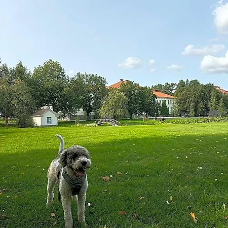 Bjorkenheim * Seinäjoki
